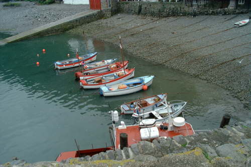 Clovelly Hor22